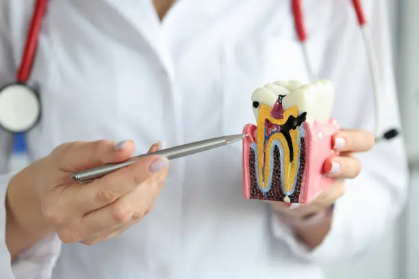 The Silent Culprits: Common Habits That Damage Your Teeth Watford